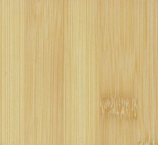 Bamboo